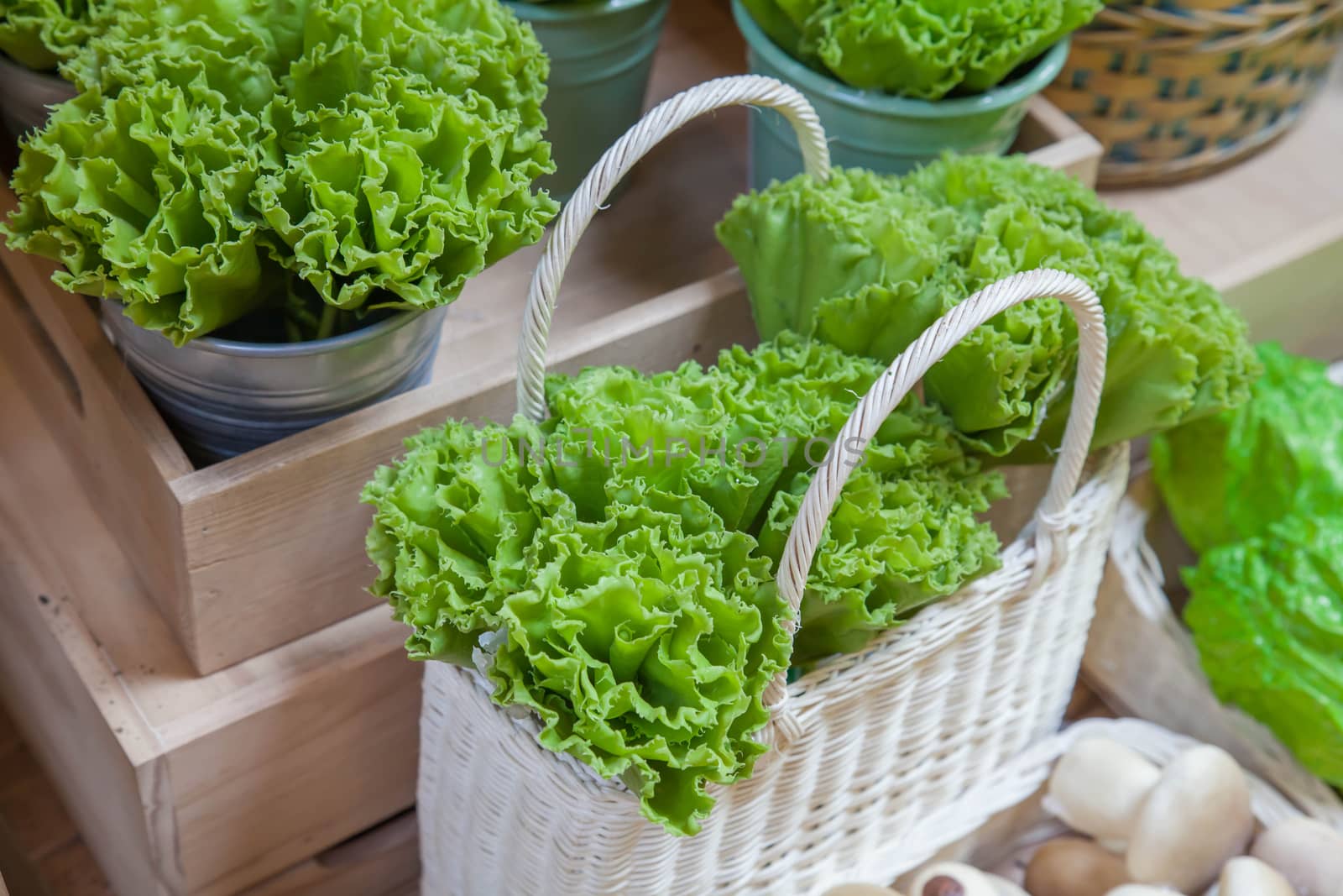 Fresh and green lettuce on wood bag, food concept.