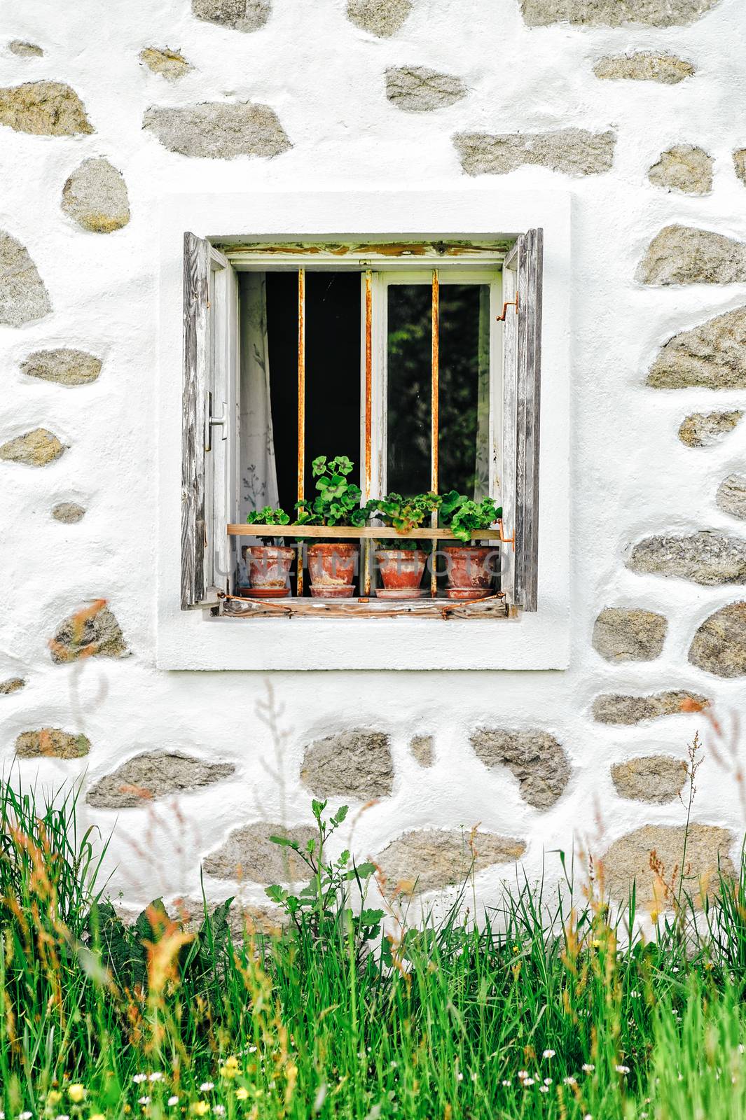 Window of a Farm by tepic