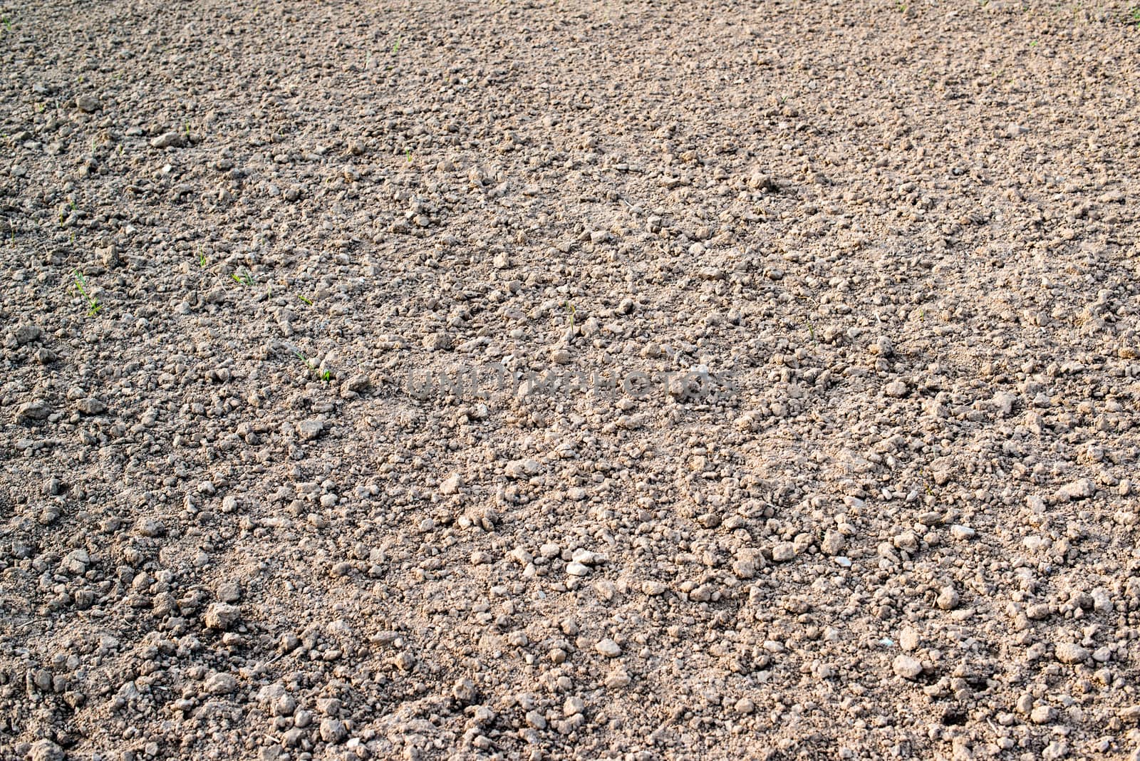 ploughed agriculture field before sowing in spring