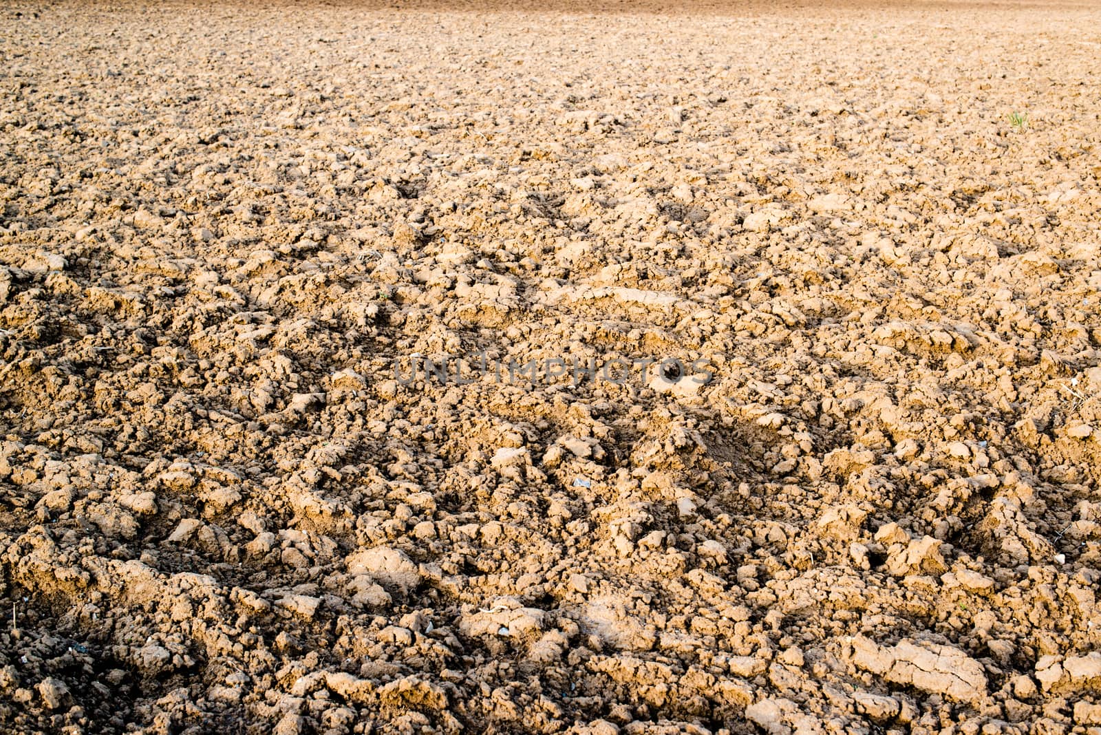 ploughed agriculture field before sowing in spring