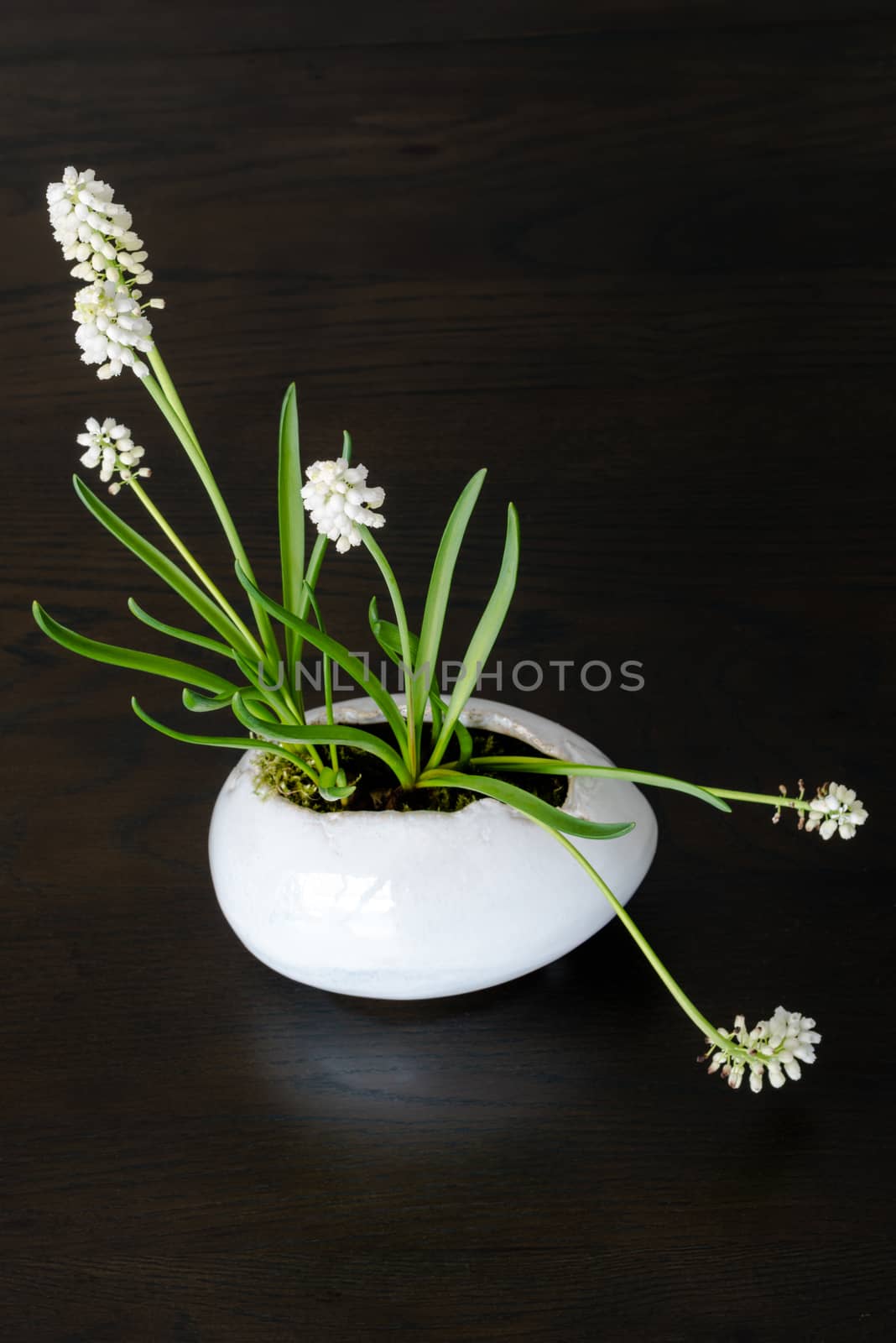 Easter table arrangement with baby hyacinths blooming out of a decorative clay easter egg on a wooden table