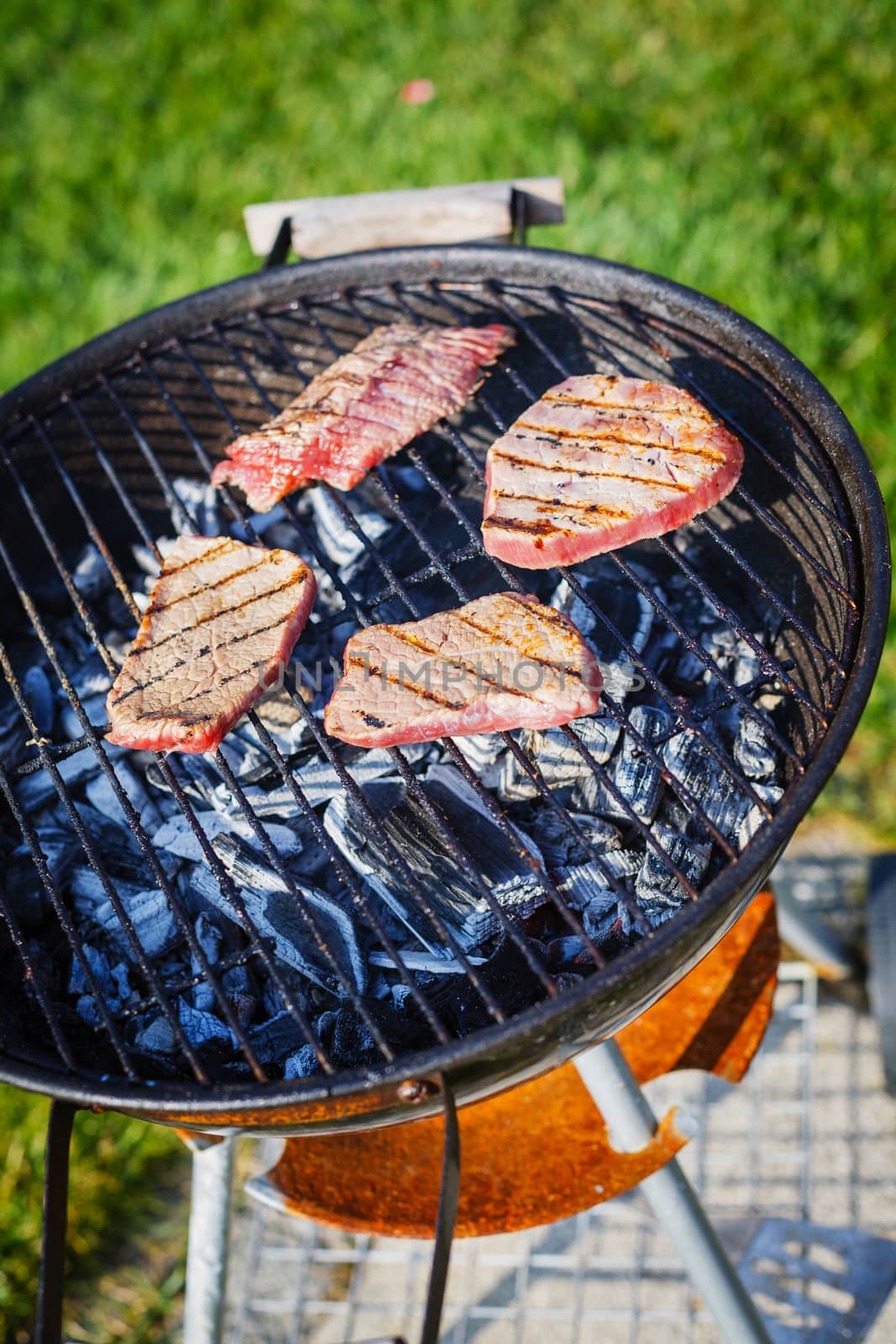 Barbecue on a hot day during the summer vacation on a green grass background. Meat on the grill.