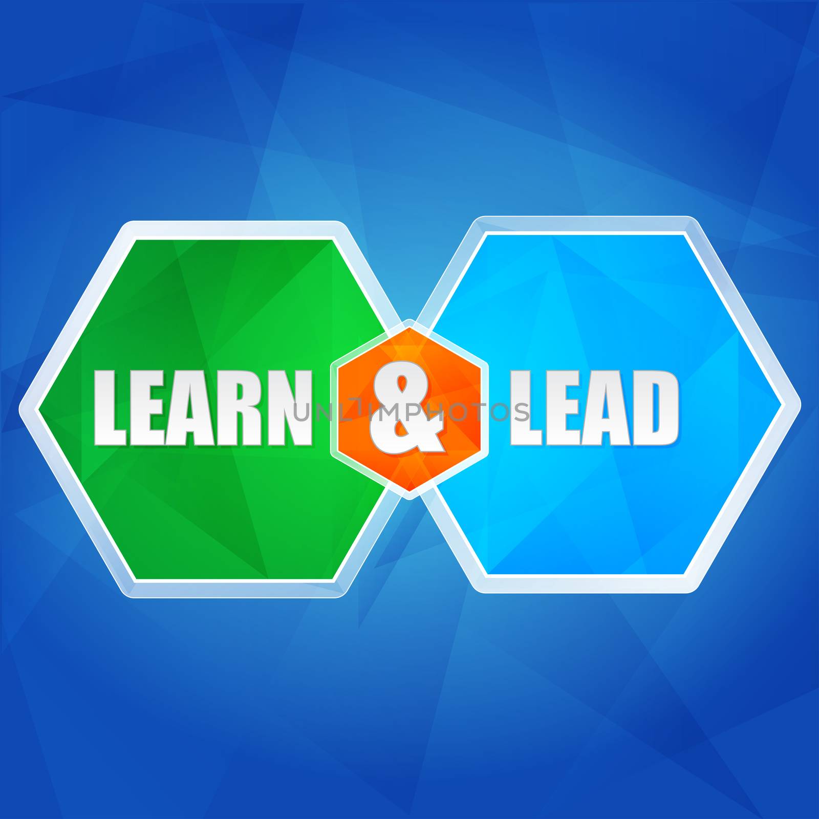 learn and lead - business education concept words in color hexagons over blue background, flat design