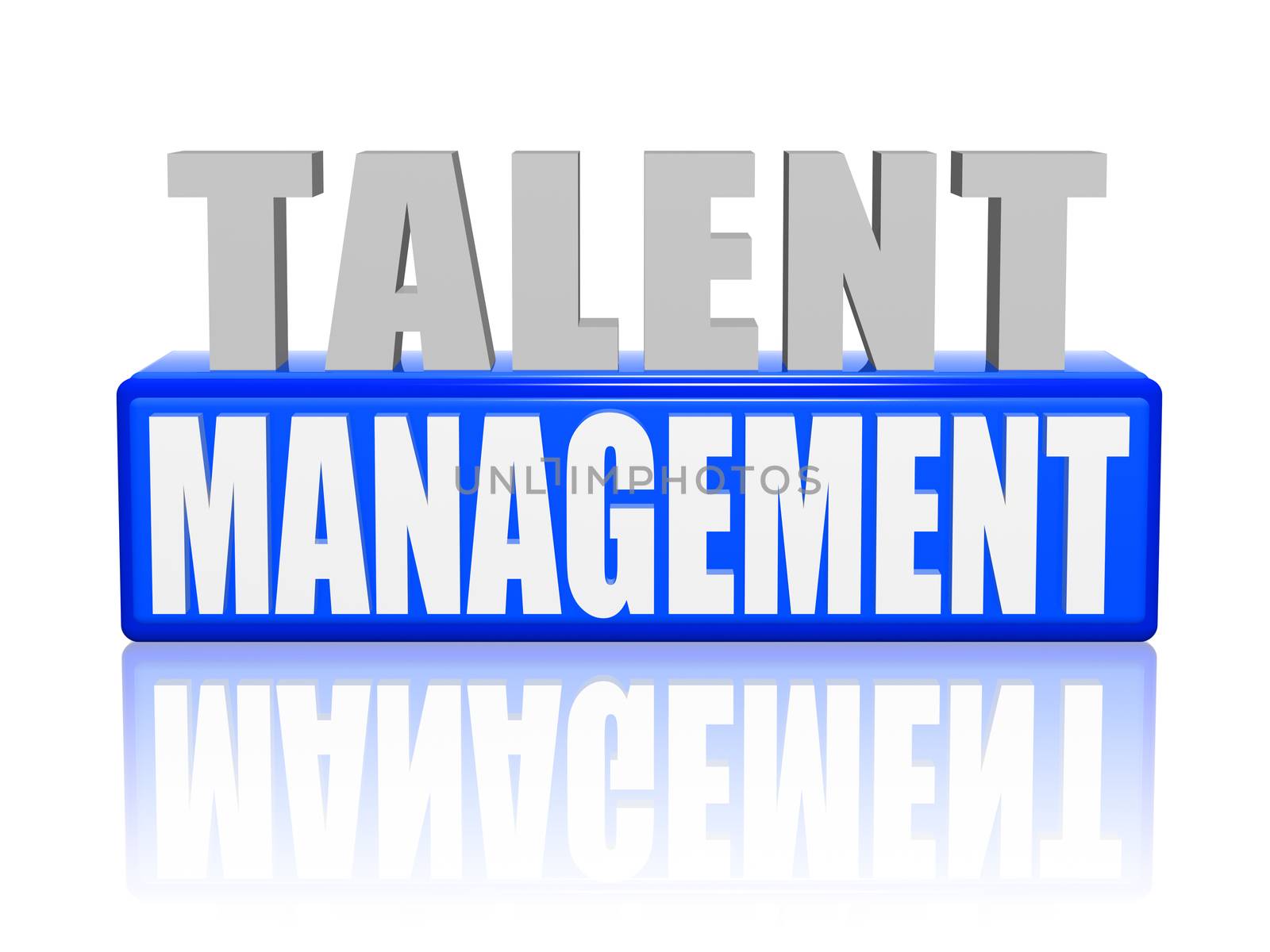 talent management in 3d letters and block by marinini