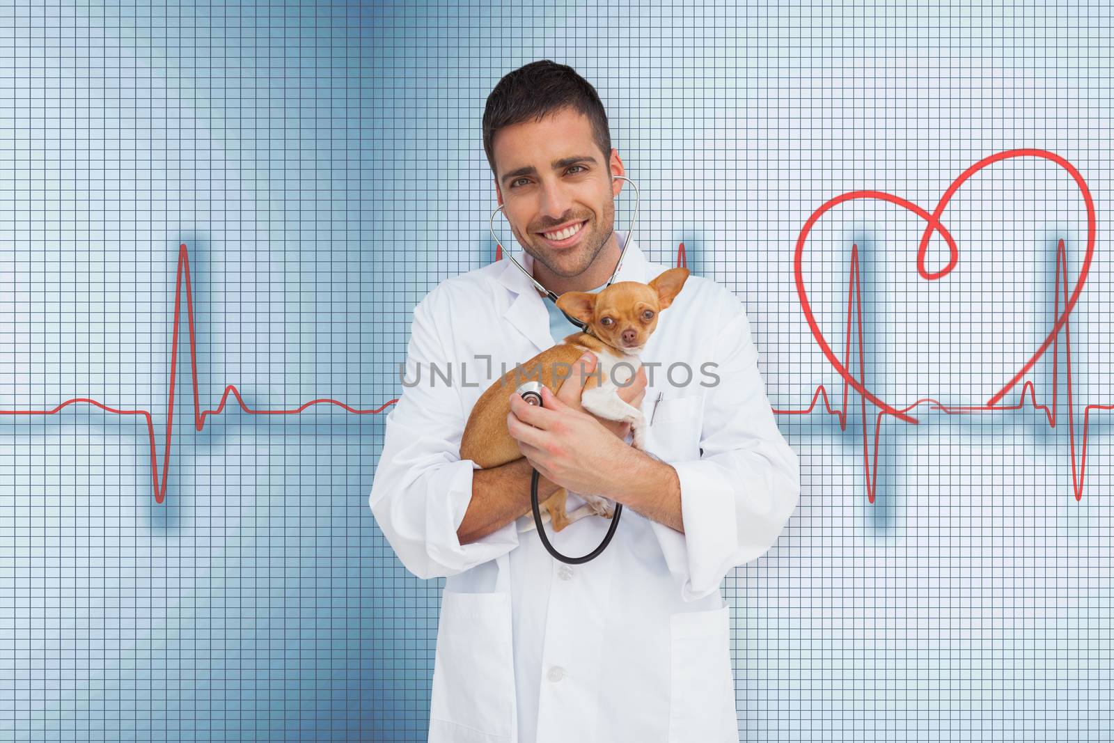 Composite image of vet holding chihuahua by Wavebreakmedia