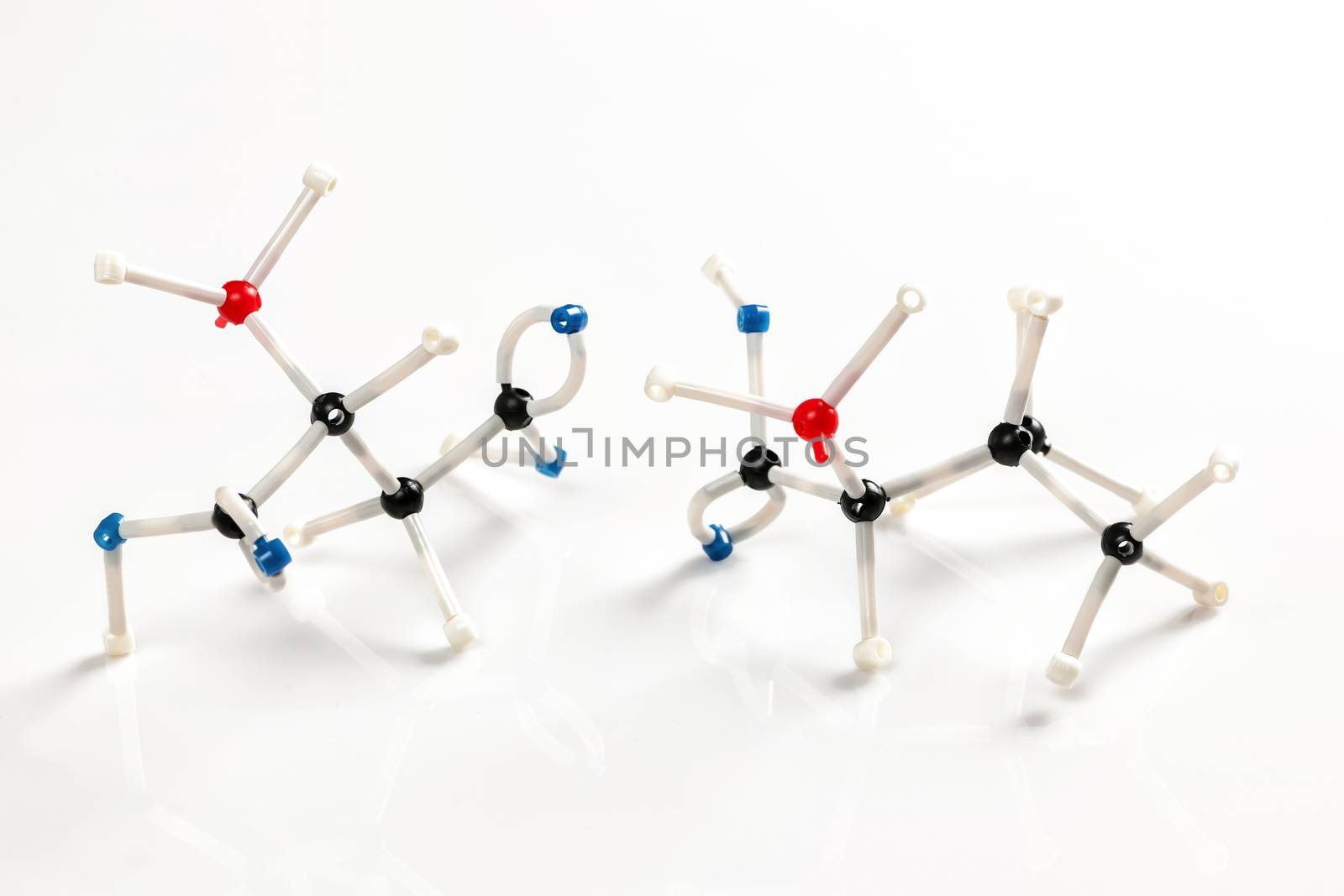 Molecular models of two amino acids by elenathewise