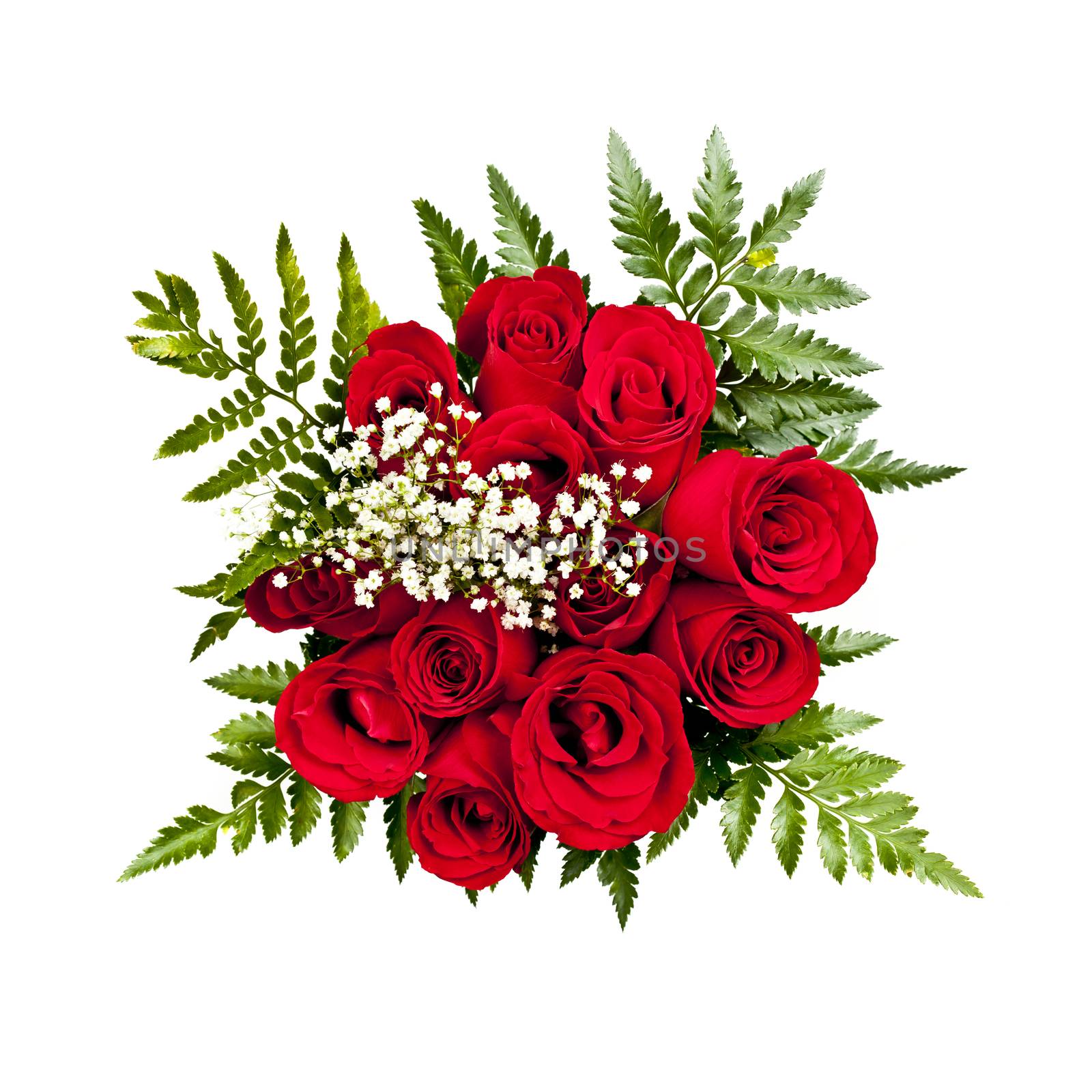 Bouquet of a dozen red roses from above on white background