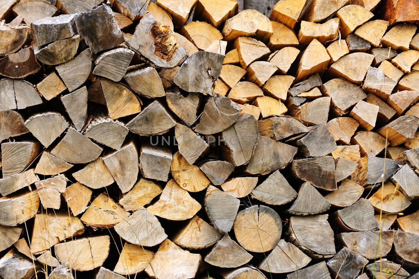 Firewood by elenathewise