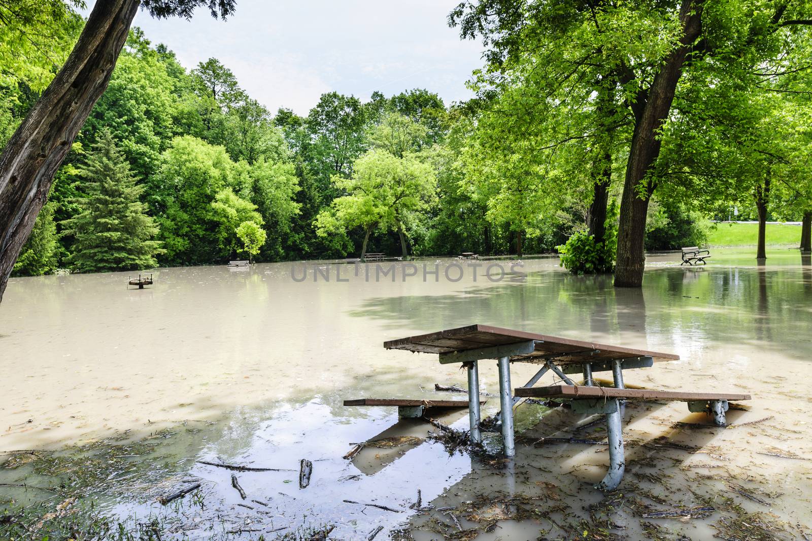 Picnic area of Sunnybrook park in Toronto flooded after heavy rains