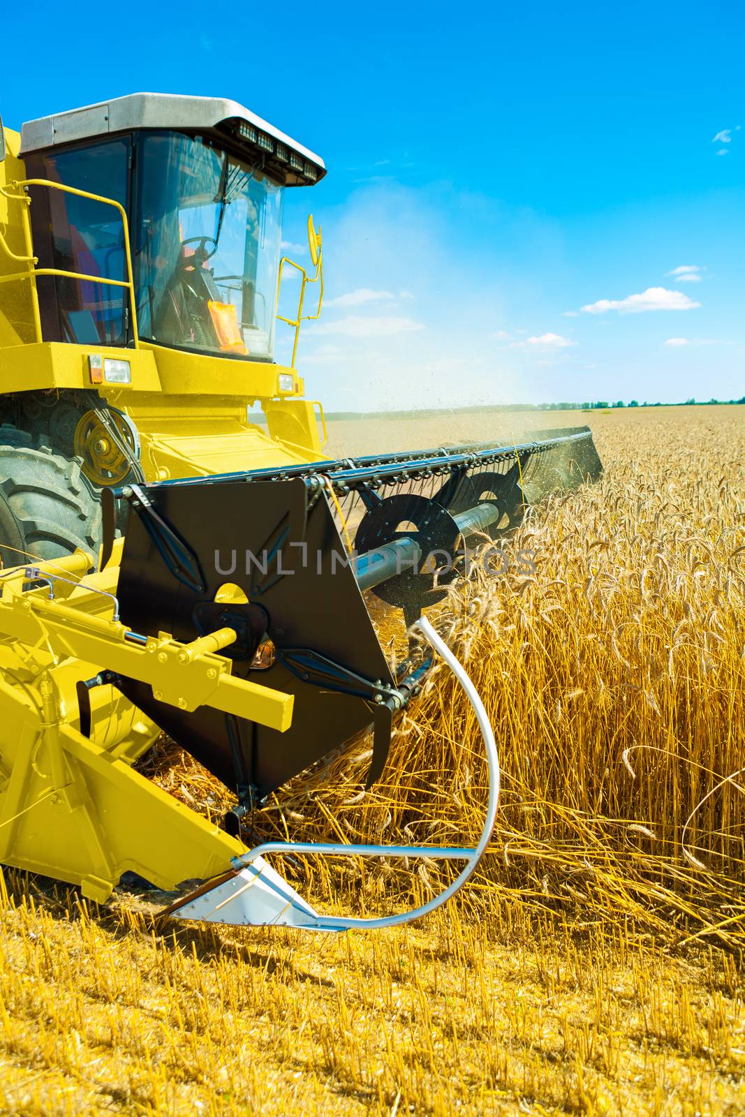 an yellow  combine harvester in work on wheat field