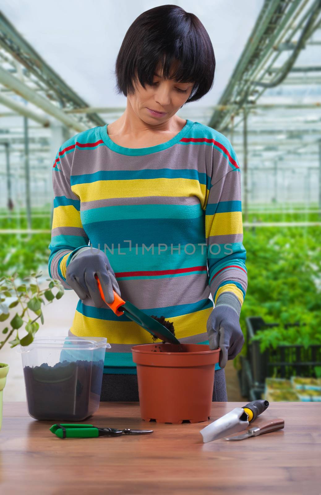 asian female transplanting flower by mihalec