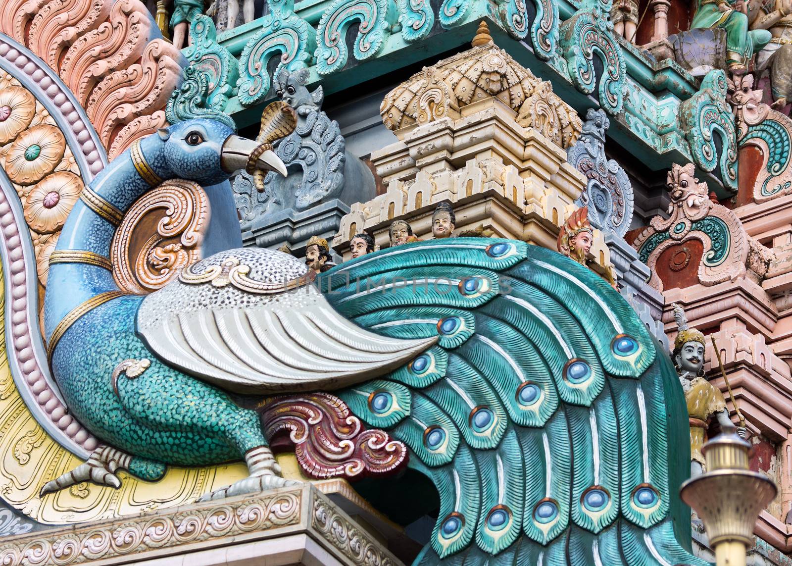 Peacock on the Gopuram of Rathinagiri Hill Temple in Vellore. by Claudine