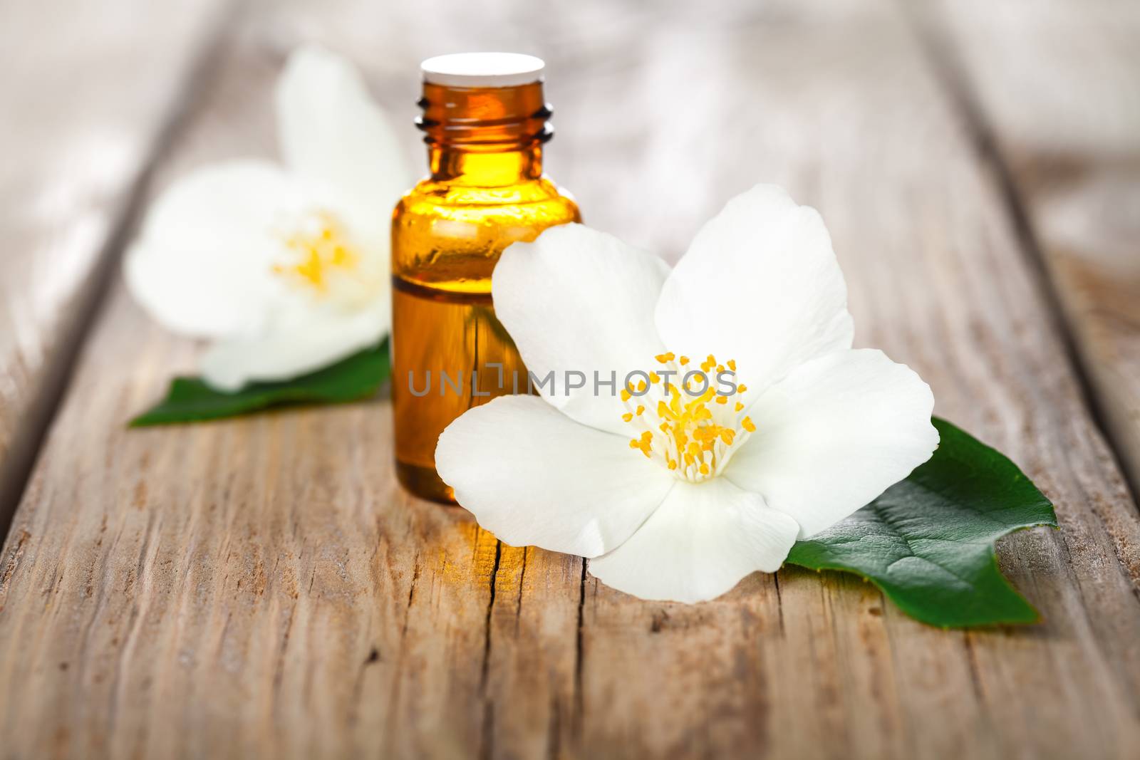 Jasmine flowers with essential oil on table background. Beauty treatment