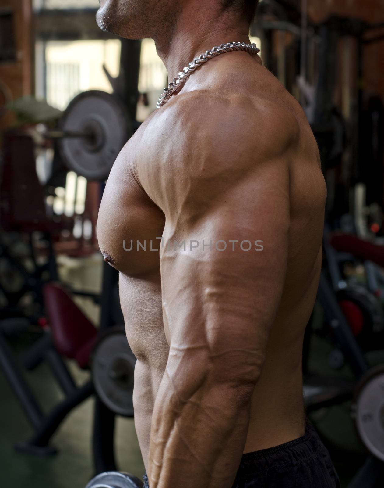 Man working out at the gym, side view of muscular and ripped chest, pecs and arm muscles