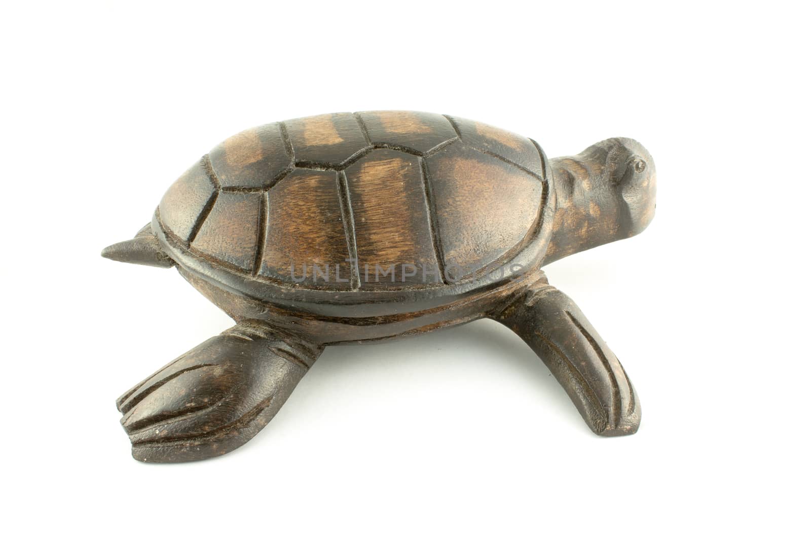 wooden turtle on a white background
