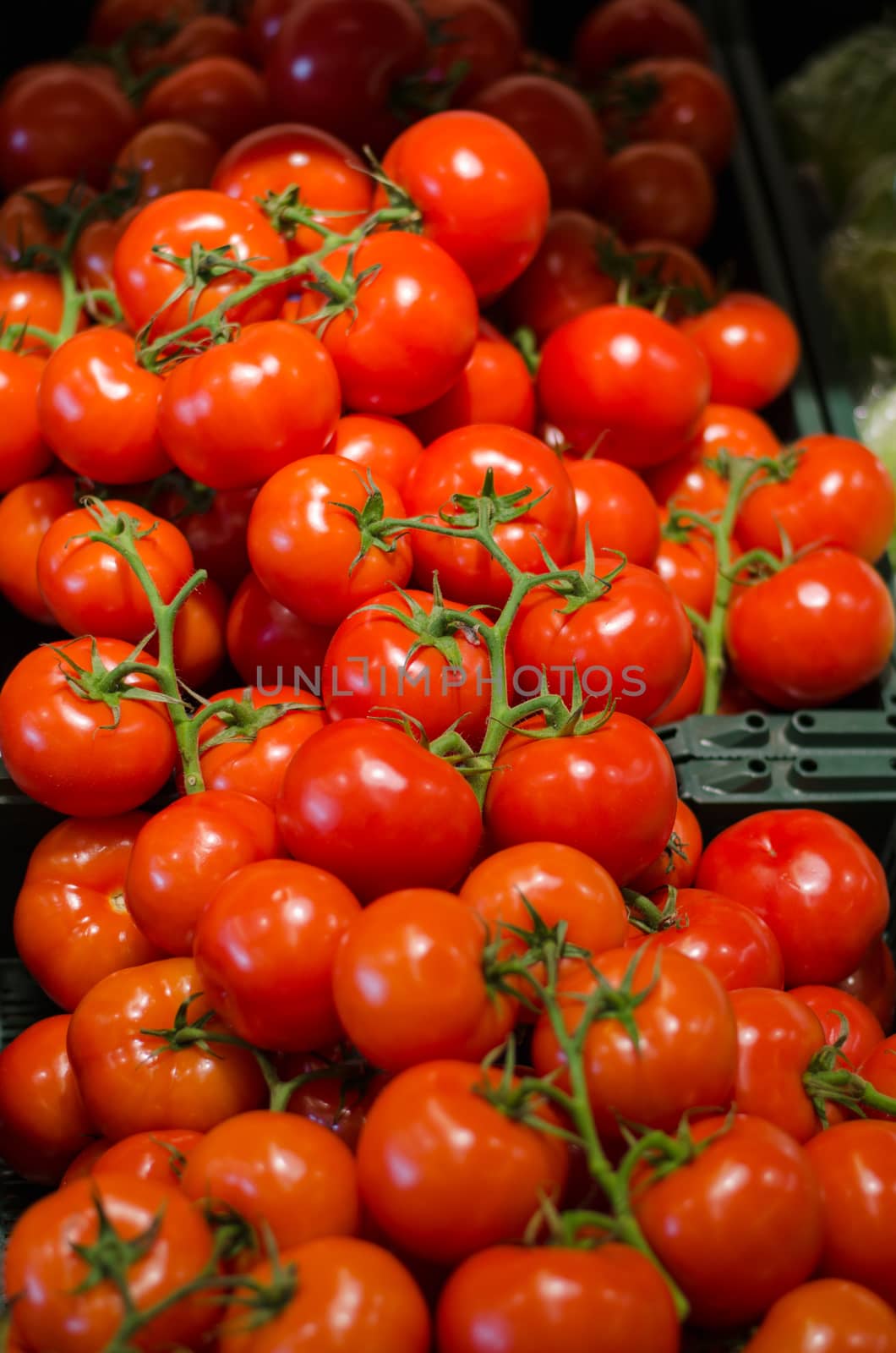 background of red fresh tomatoes with sprig