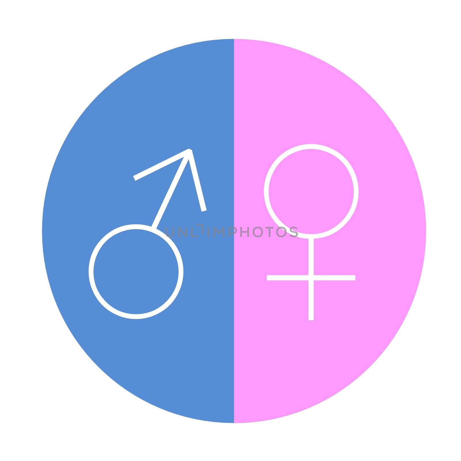 Blue male pink female equality circle in white background