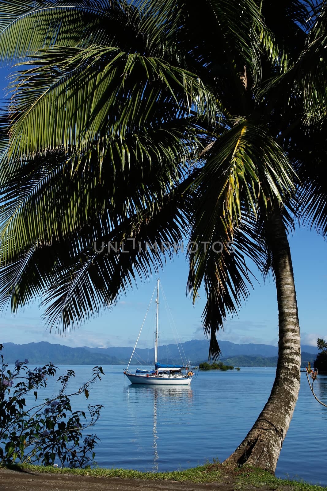 Savusavu harbor, Vanua Levu island, Fiji, South Pacific