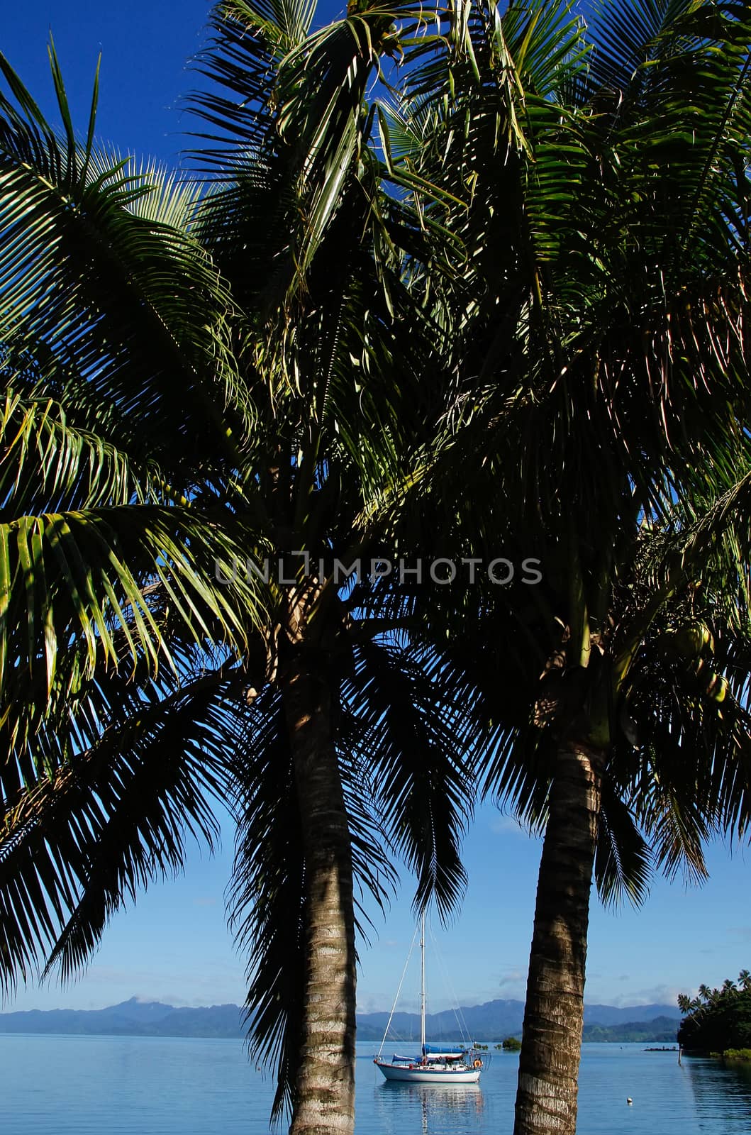 Savusavu harbor, Vanua Levu island, Fiji, South Pacific