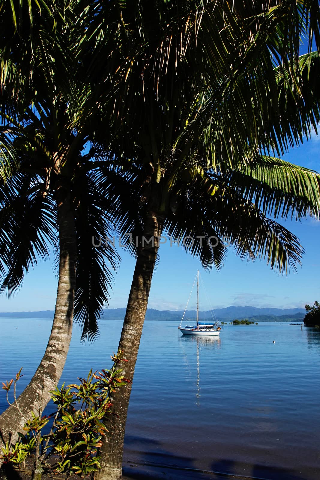 Savusavu harbor, Vanua Levu island, Fiji by donya_nedomam