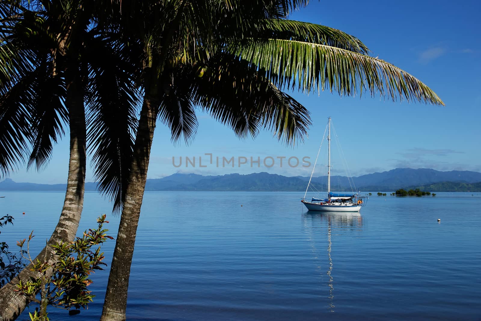 Savusavu harbor, Vanua Levu island, Fiji by donya_nedomam