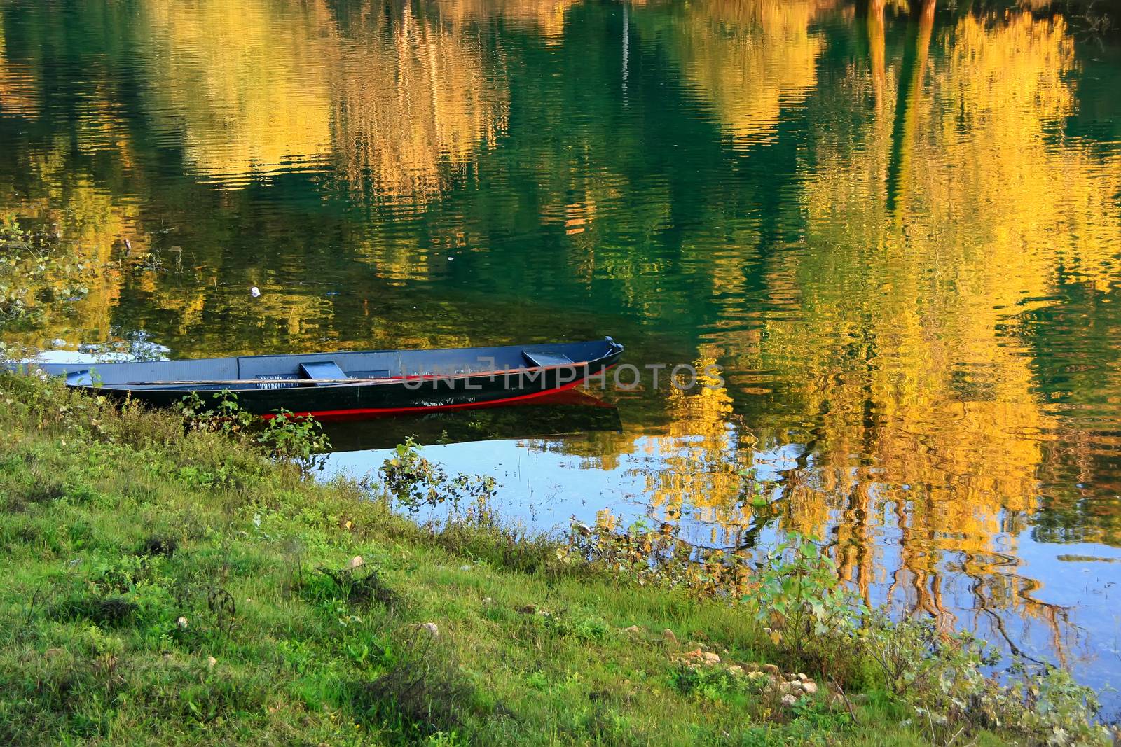 Boat at Crnojevica river with colorful trees reflection, Montene by donya_nedomam