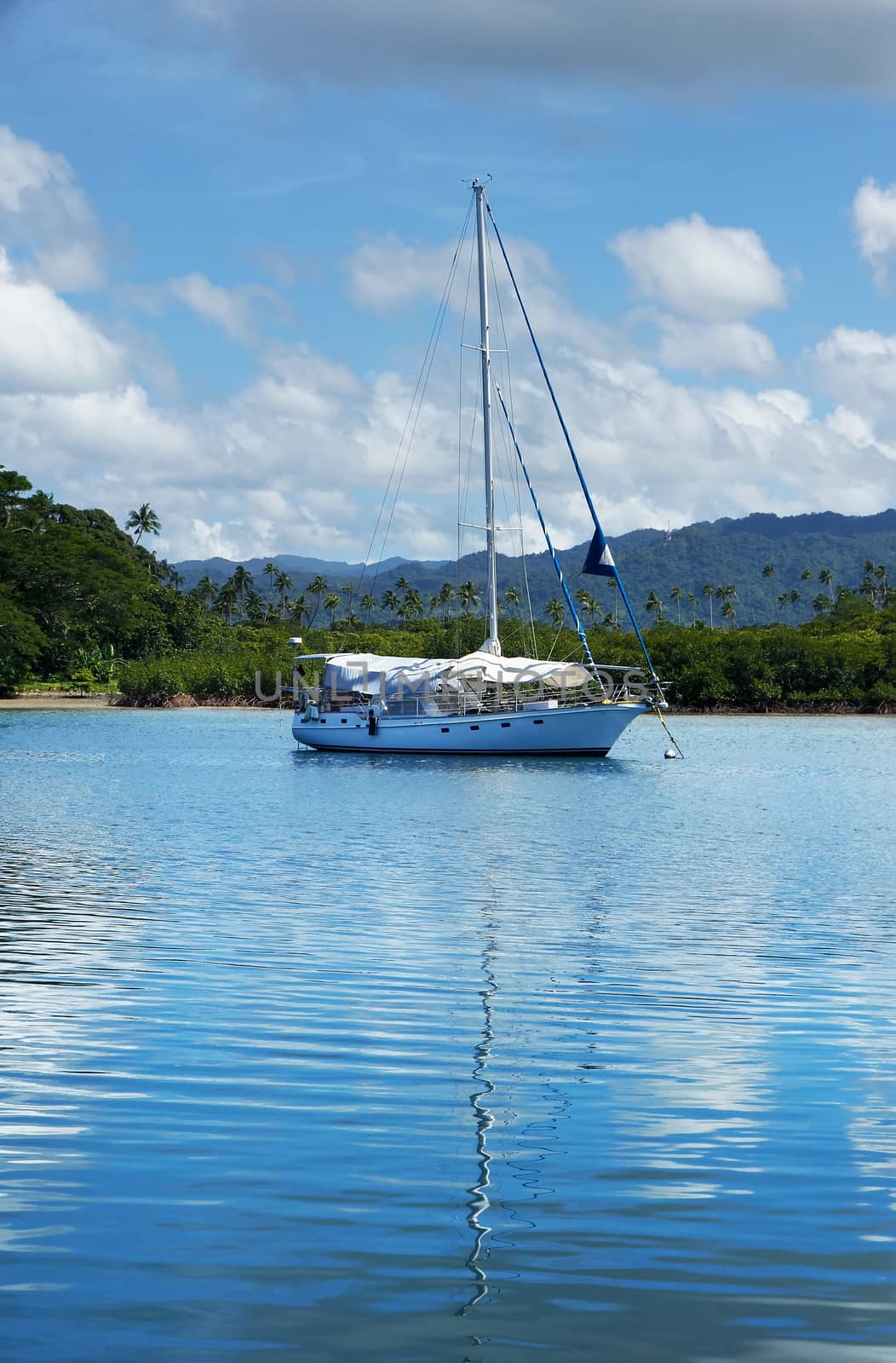 Sailboat at Savusavu harbor, Vanua Levu island, Fiji by donya_nedomam