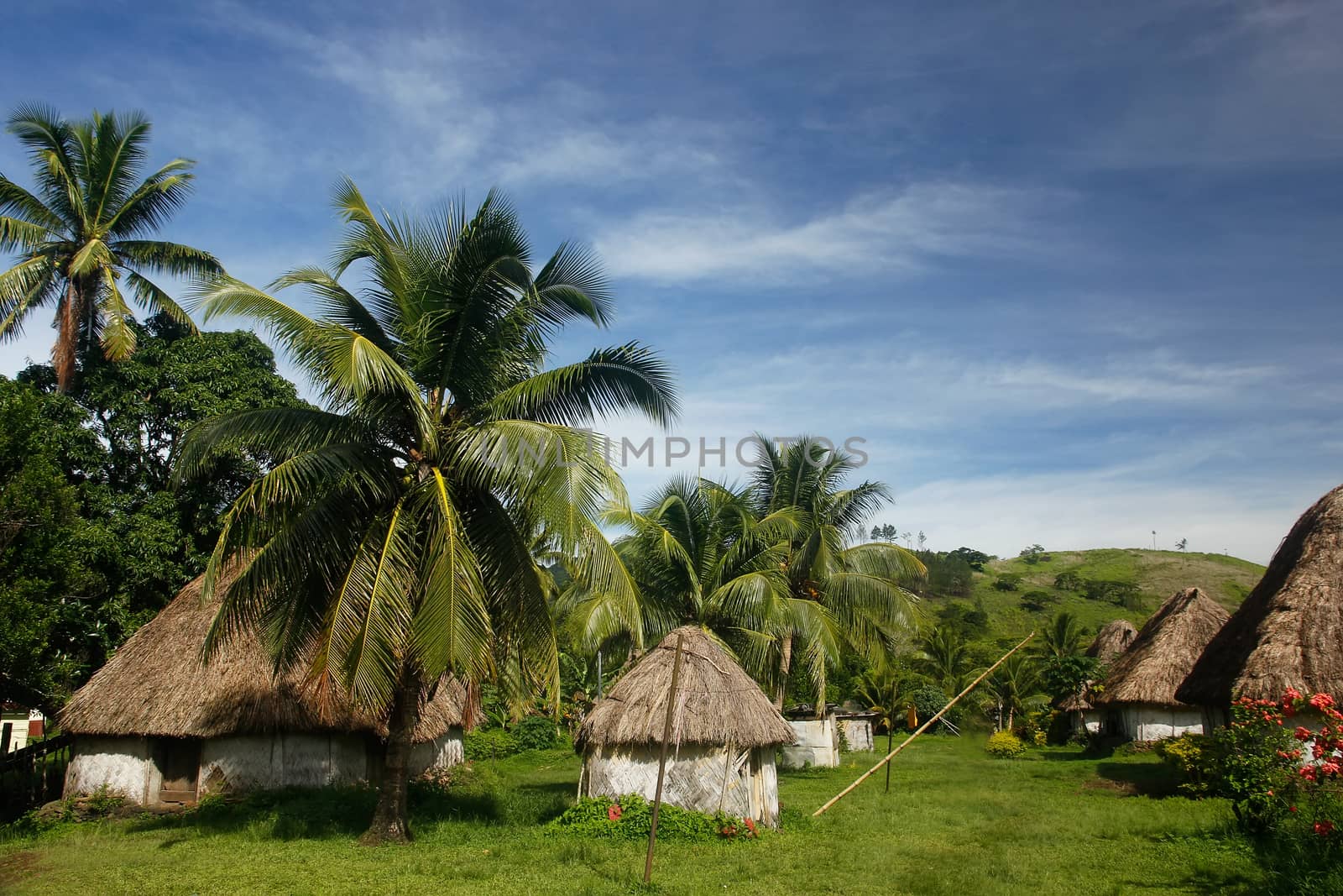 Traditional houses of Navala village, Viti Levu, Fiji by donya_nedomam