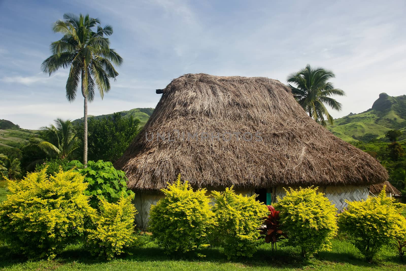 Traditional house of Navala village, Viti Levu, Fiji by donya_nedomam