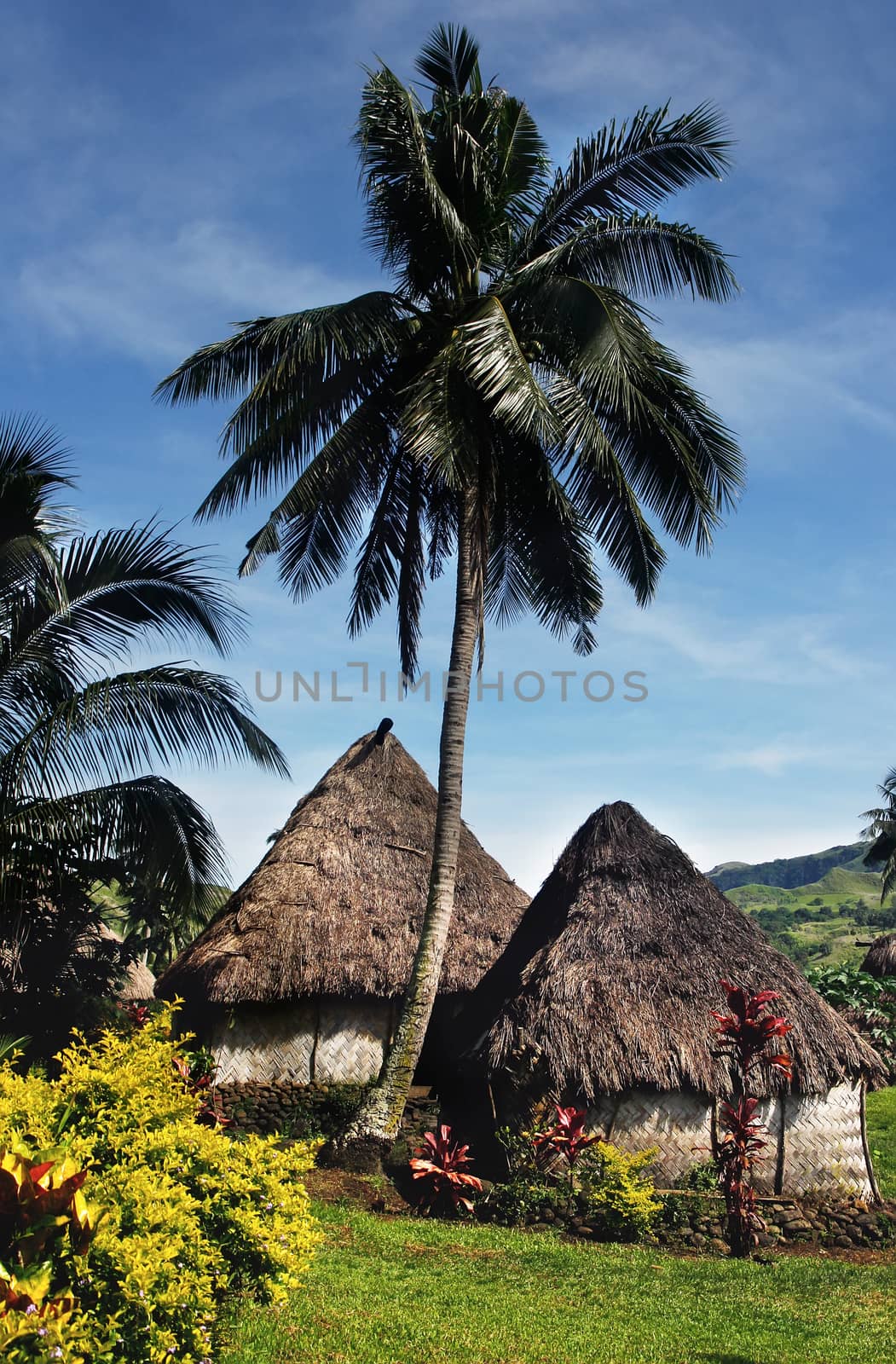 Traditional houses of Navala village, Viti Levu island, Fiji