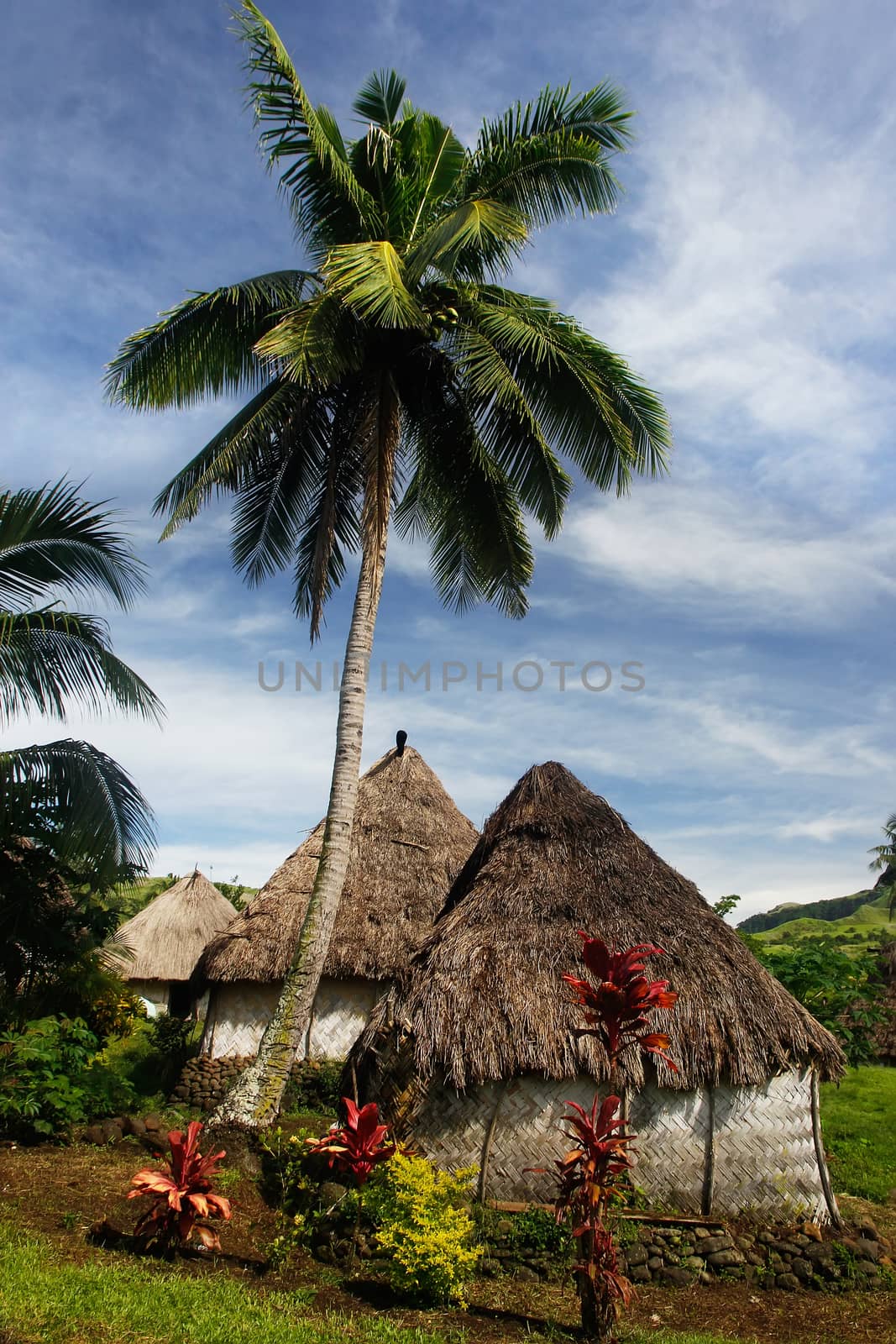 Traditional houses of Navala village, Viti Levu island, Fiji