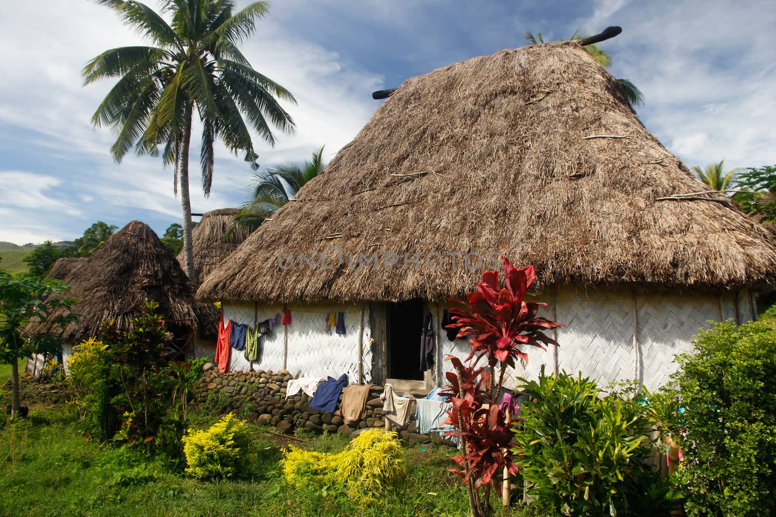 Traditional house of Navala village, Viti Levu, Fiji by donya_nedomam