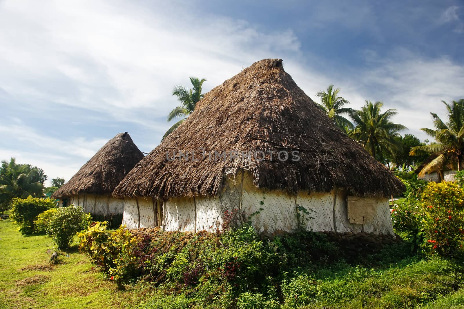 Traditional houses of Navala village, Viti Levu island, Fiji