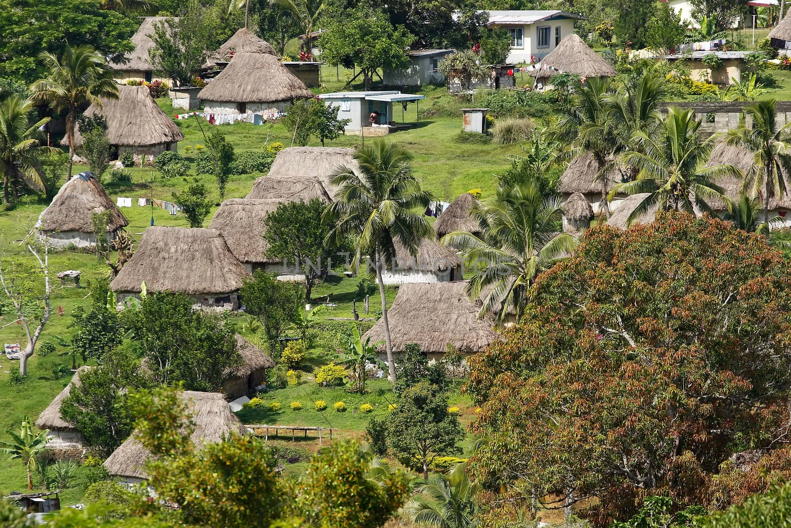 Traditional houses of Navala village, Viti Levu, Fiji by donya_nedomam