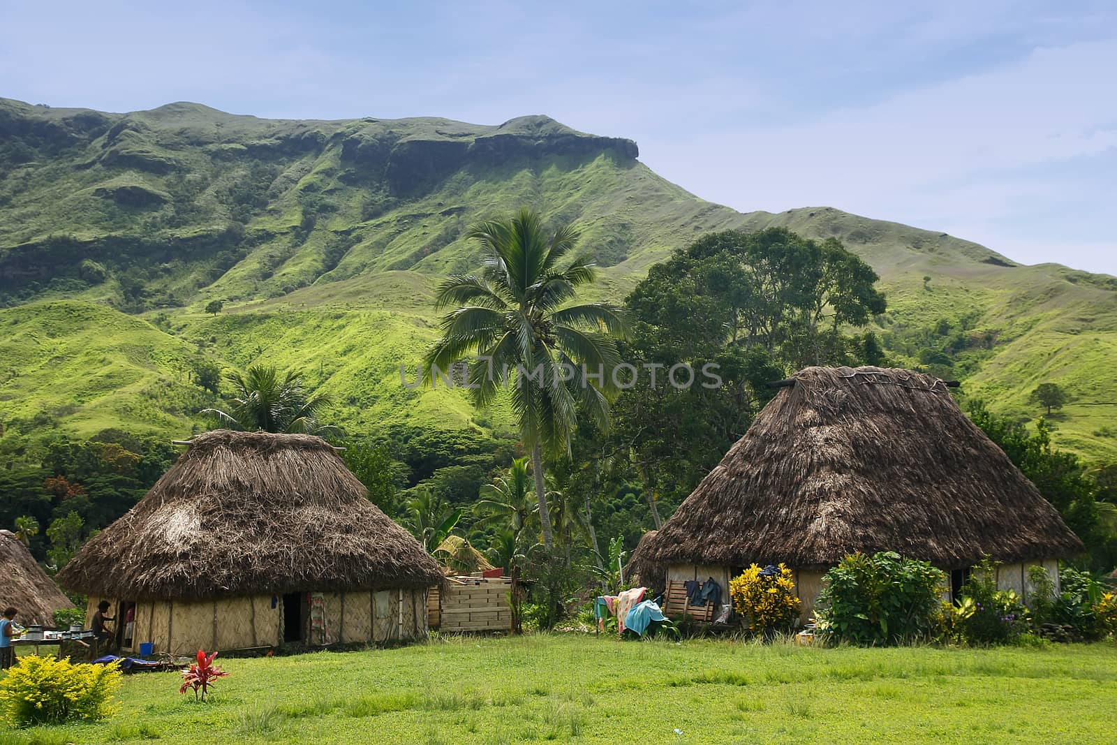 Traditional houses of Navala village, Viti Levu island, Fiji