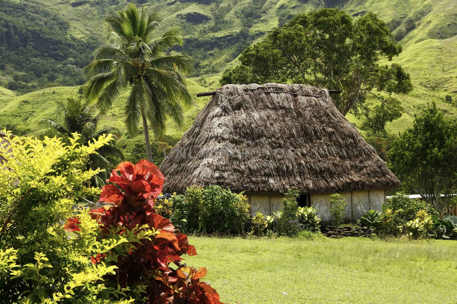 Traditional house of Navala village, Viti Levu, Fiji by donya_nedomam