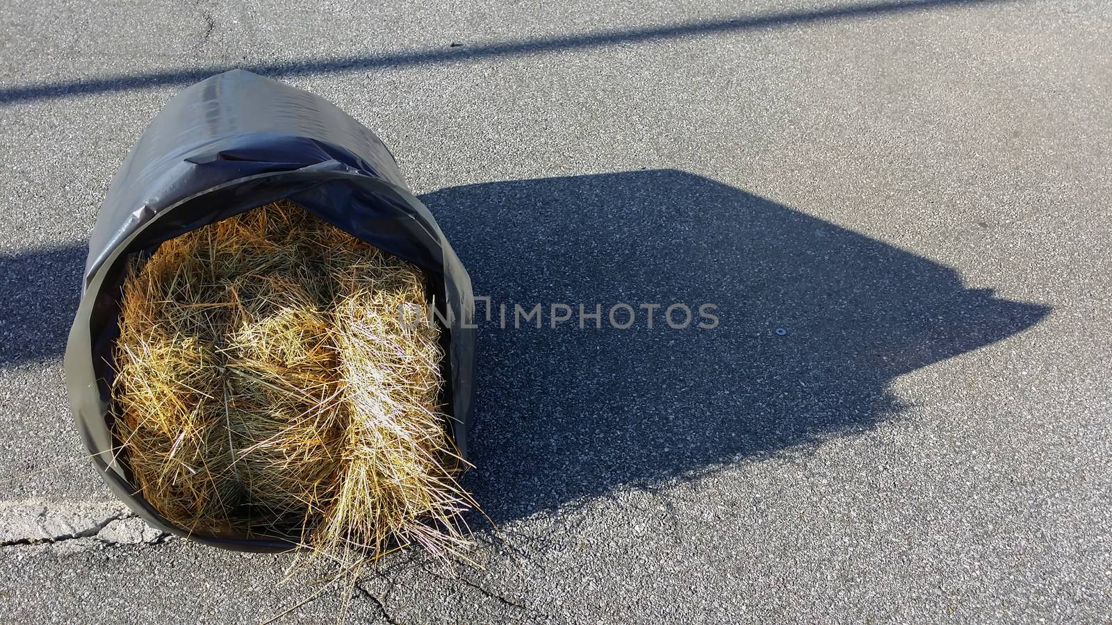 bale of hay wrapped in a plastic bag