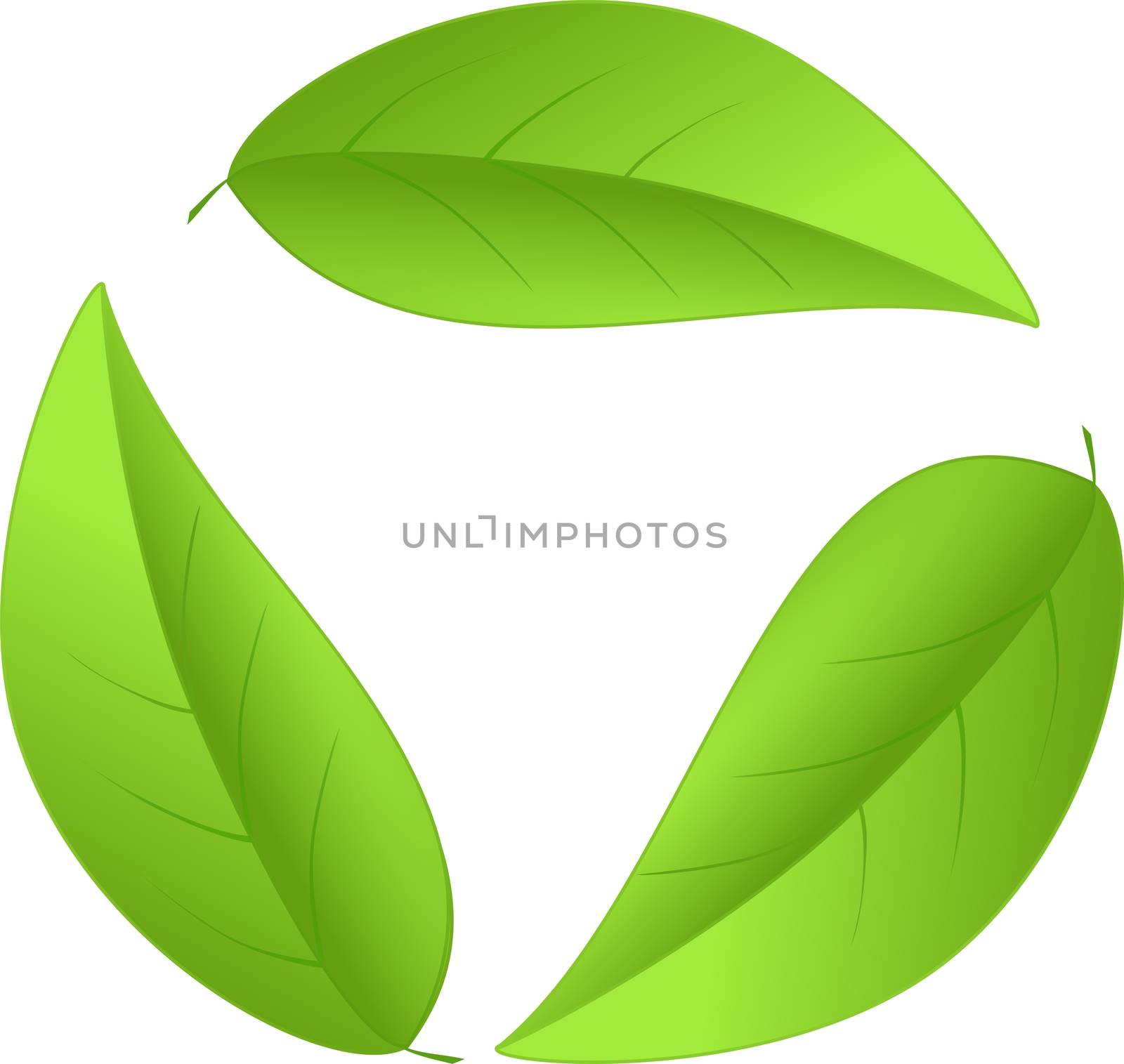Recycling icon from leaves isolated on a white background