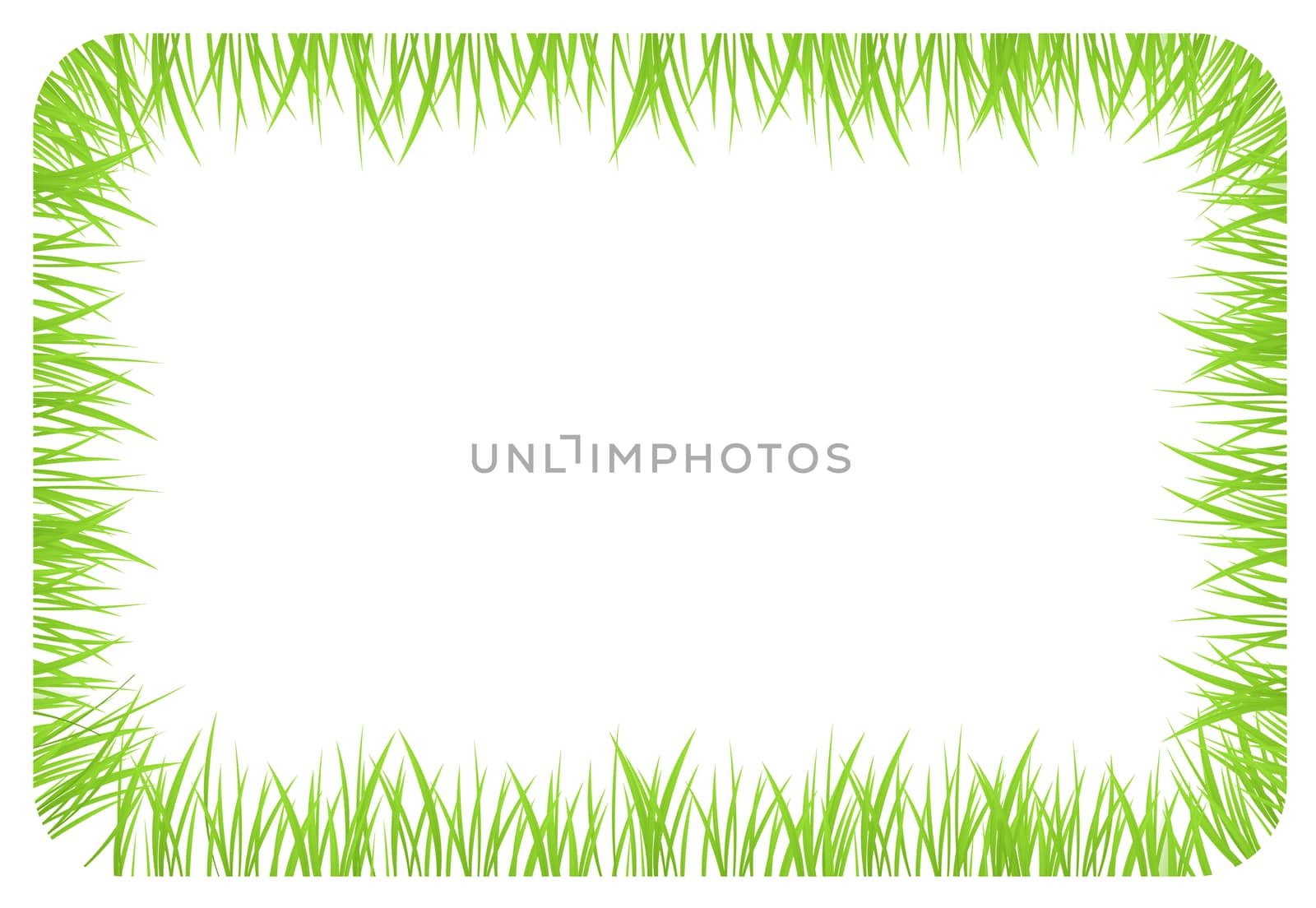 Banner with borders made of green grass by sylwia