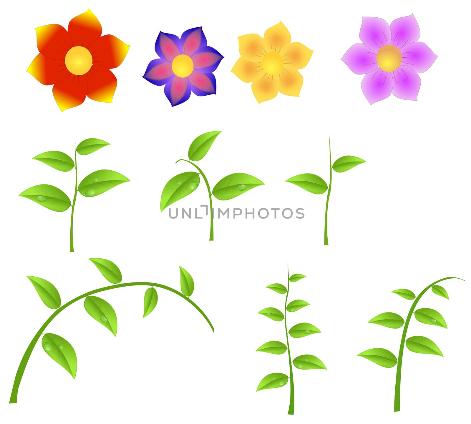 Set of stalks with flowers, design element for spring isolated on a white background