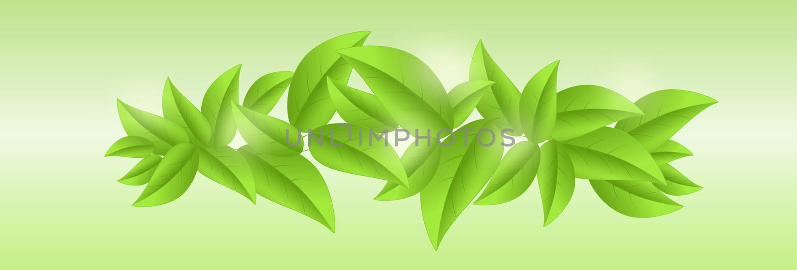 Fresh green leaves background with sunlights on green sunny background