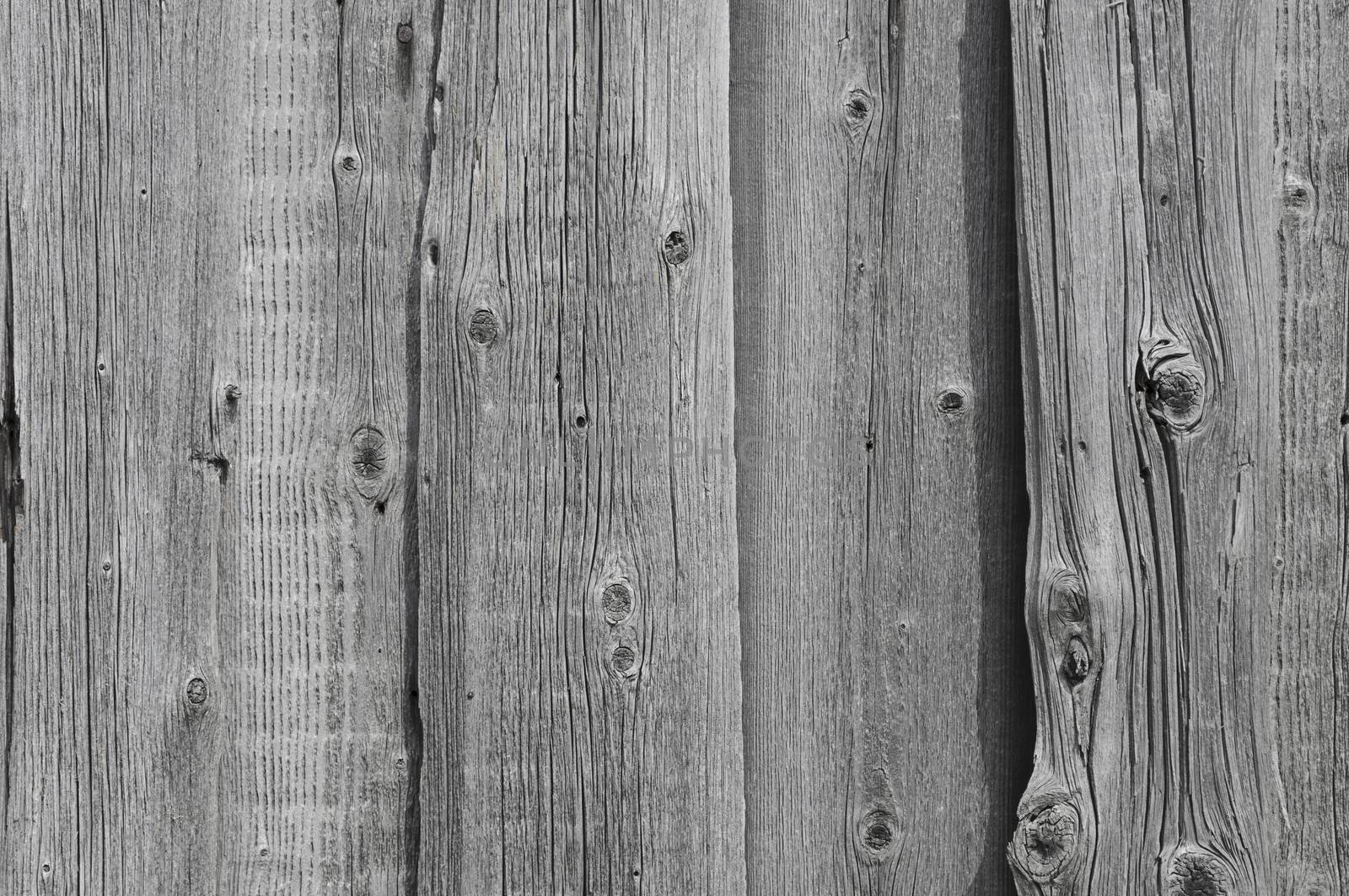 Old grey wooden background with vertical boards