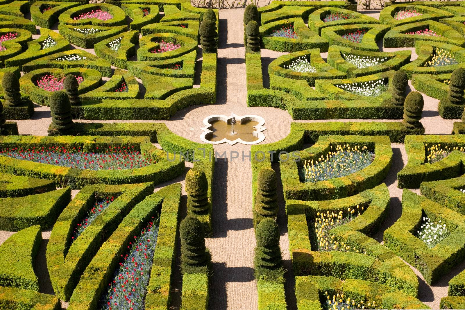 Gardens of the Chateau de Villandry, France