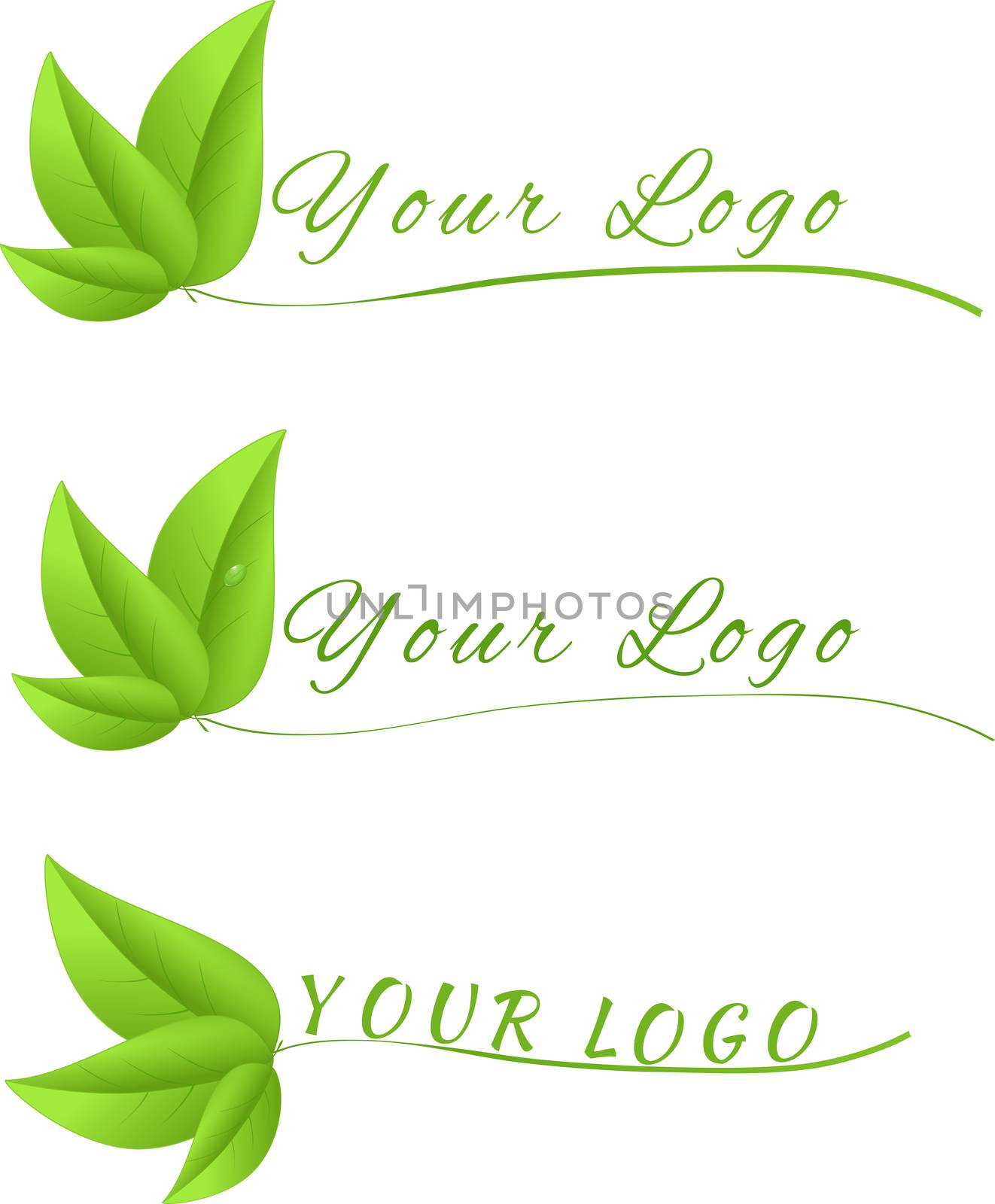 Brand logos made from leaves isolated on a white background