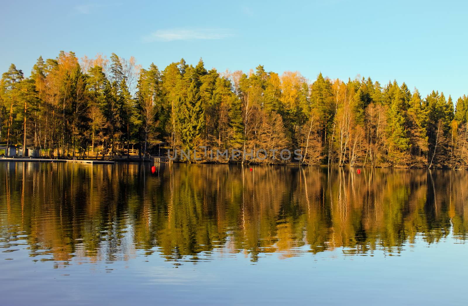 Calm forest lake with beautiful reflections