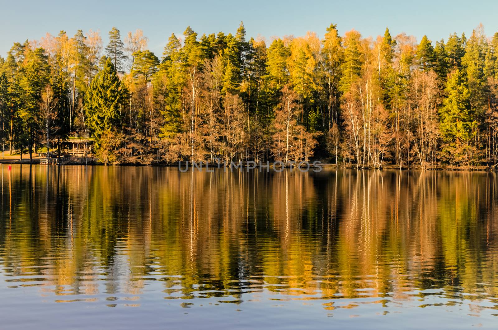 Idyllic forest lake by Alexanderphoto