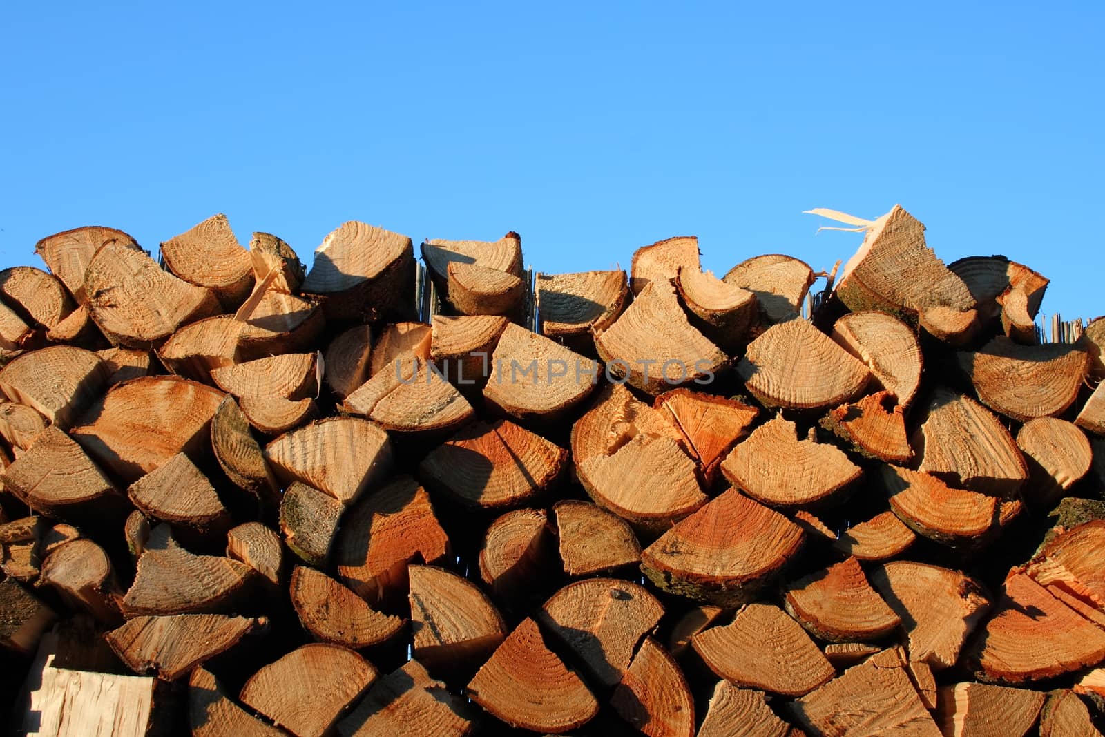 A stack piled logs, blue sky in the background