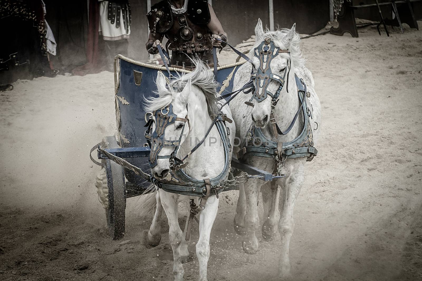 gladiators fighting in the arena, horses and chariots in the Roman circus fight