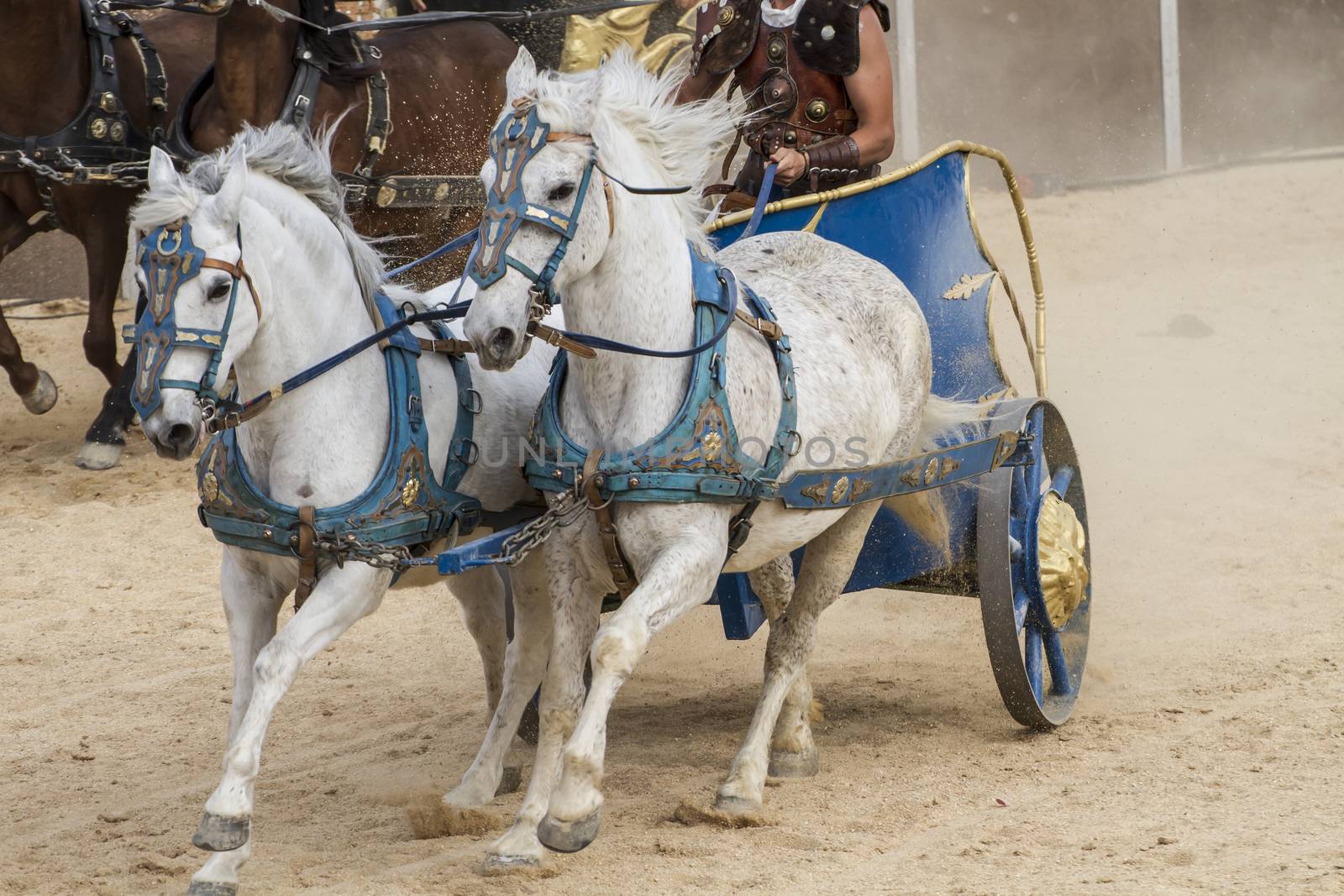 War, Roman chariot in a fight of gladiators, bloody circus