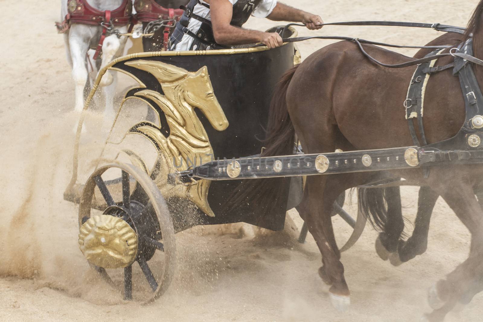 War, Roman chariot in a fight of gladiators, bloody circus by FernandoCortes